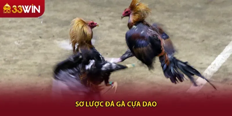 Sơ lược đá gà cựa dao